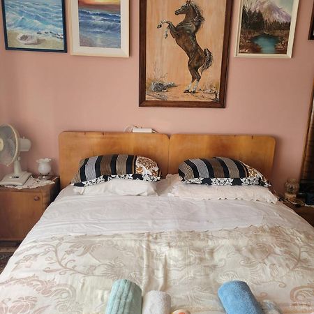 Apartment Madona Šibenik Esterno foto